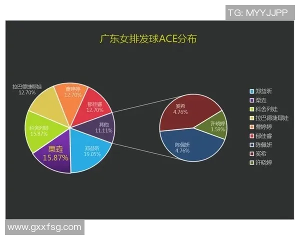 广州排球队比赛经验对比深度解析与启示