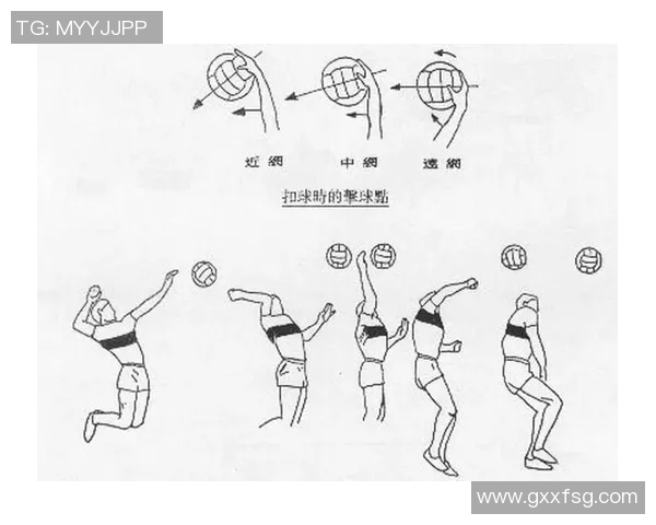 杨强独家分享排球技巧与心得助你提升球技的全面指南